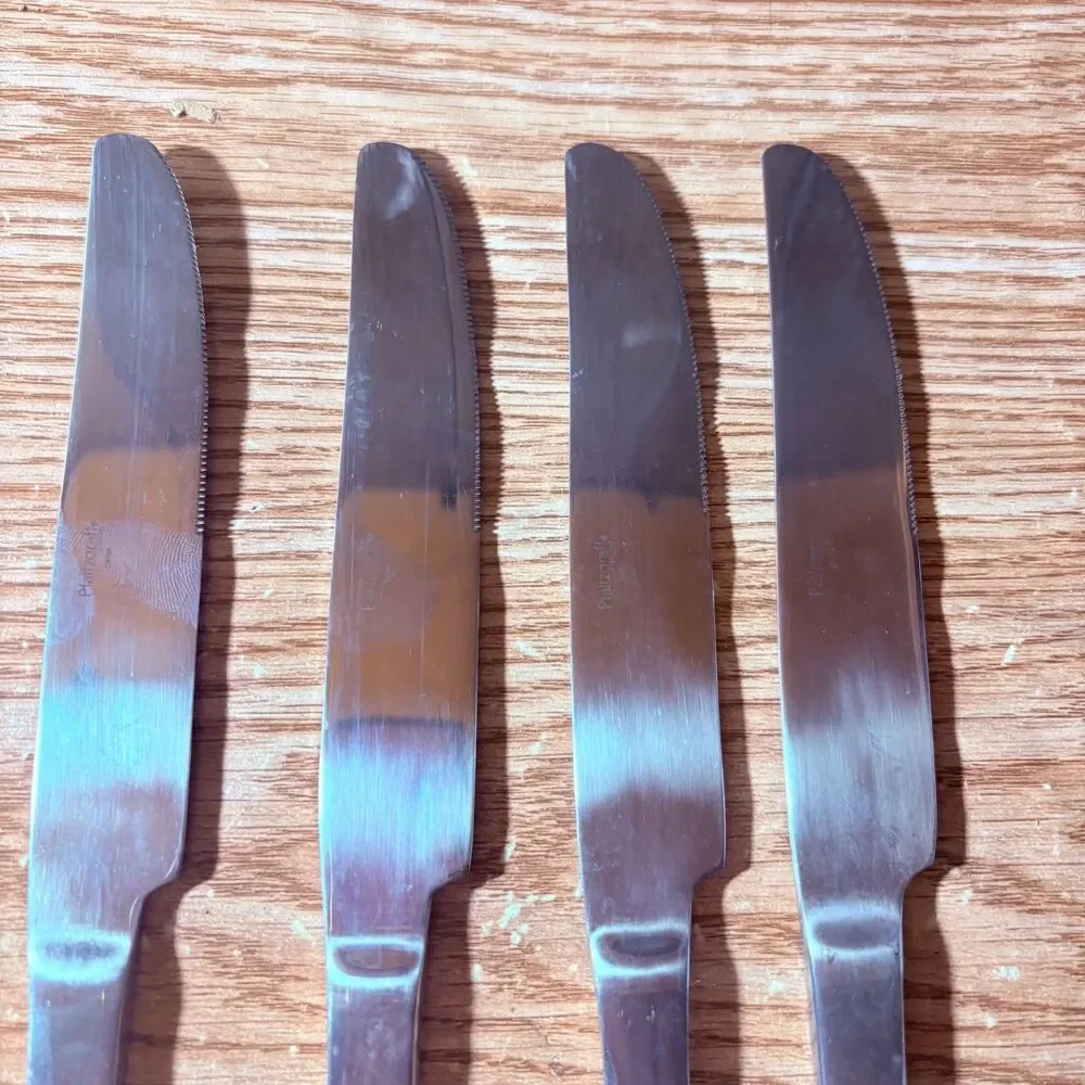 Pfaltzgraff Everyday Stainless Steel Set of 4 Dinner Knives